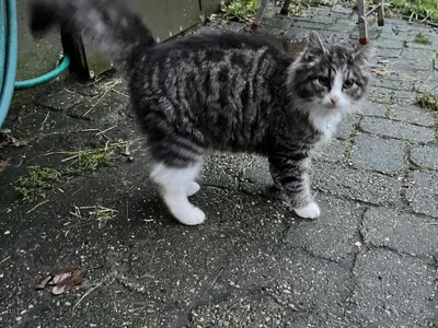 Bigcurvedleftside profile