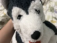 da145's webcam live show