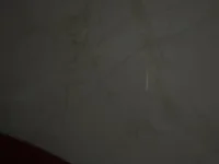 The_striper