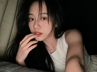 Модель Liuyifei2005
