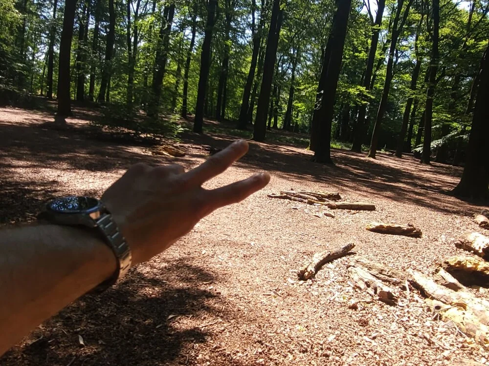 Wilsonn86 Offline XXX Chat