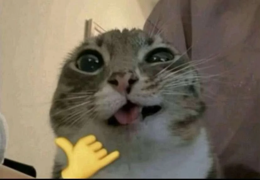 Bottomsbitch's Offline XXX Chat