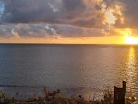 peludo00100's webcam live show