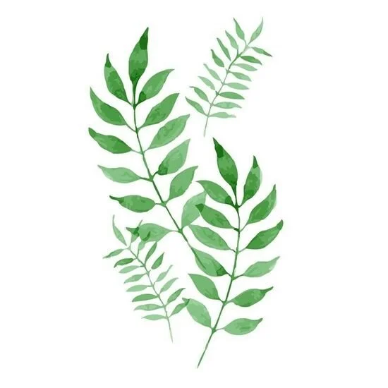 Latinacowgirl Adlı Modelin Çevrimdışı XXX Sohbeti