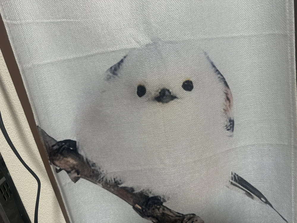 tv_korokke