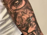 NegoPorn's webcam live show