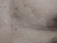 naveen-69's webcam live show