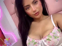 Model DENISSEMD