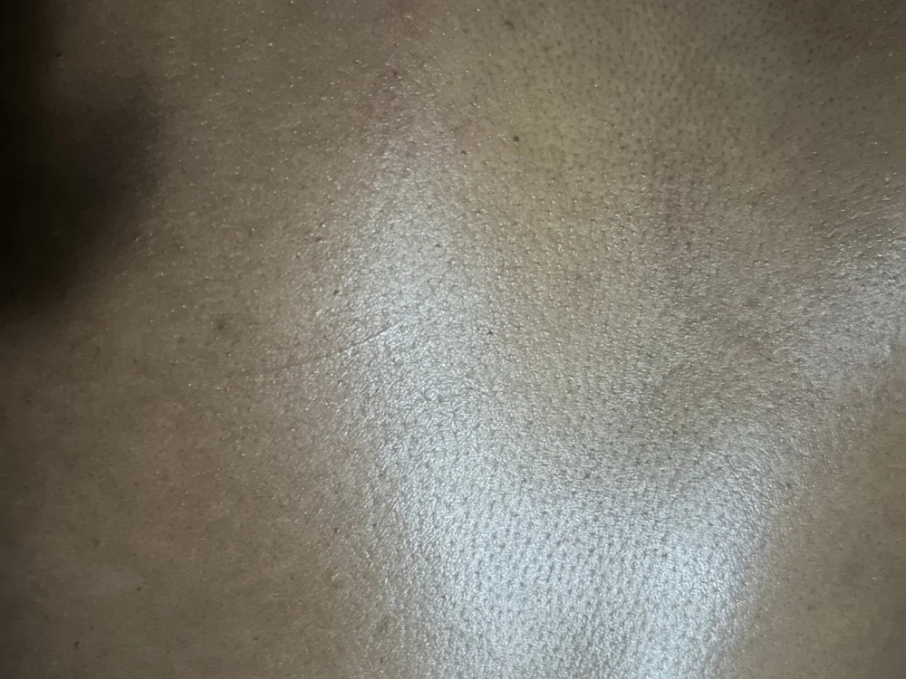 ROBOSTALLION offline XXX-chat