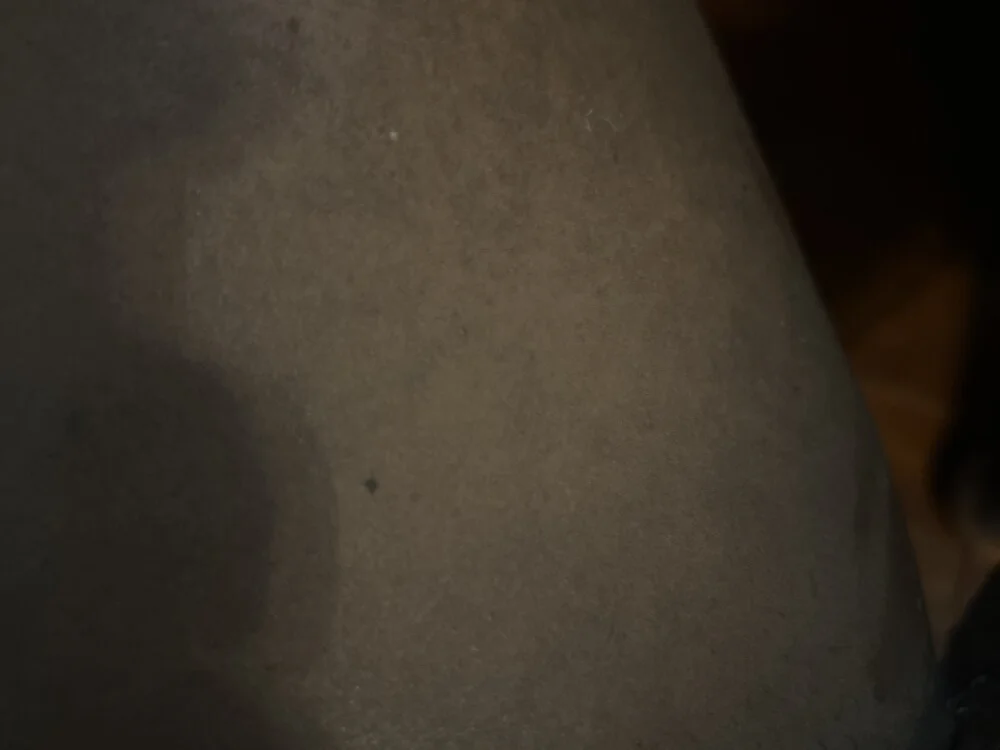 Offline XXX chat modela southerncomfort23