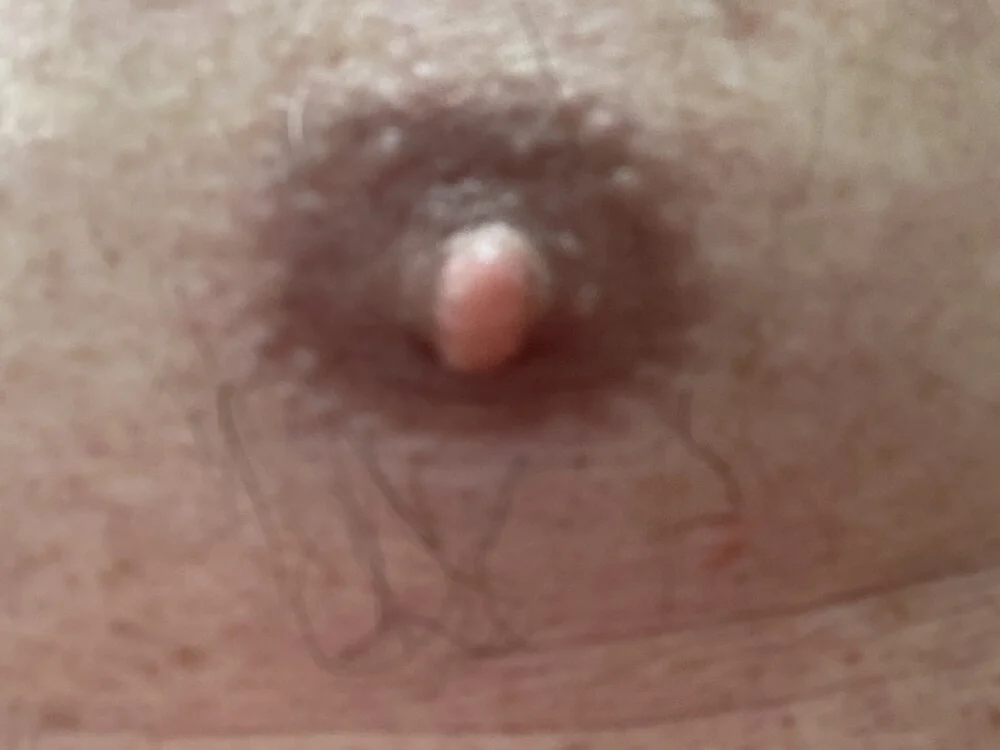 Chat +18 off-line de Thickcocklover-v2