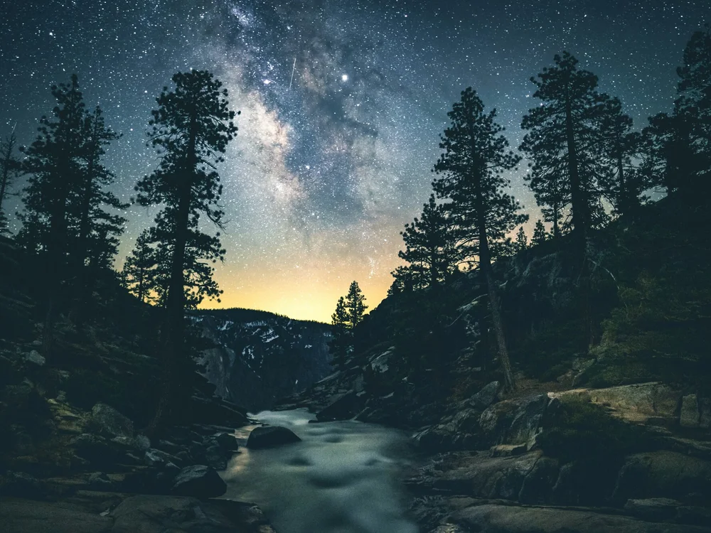 yourguyjack's most recent online preview