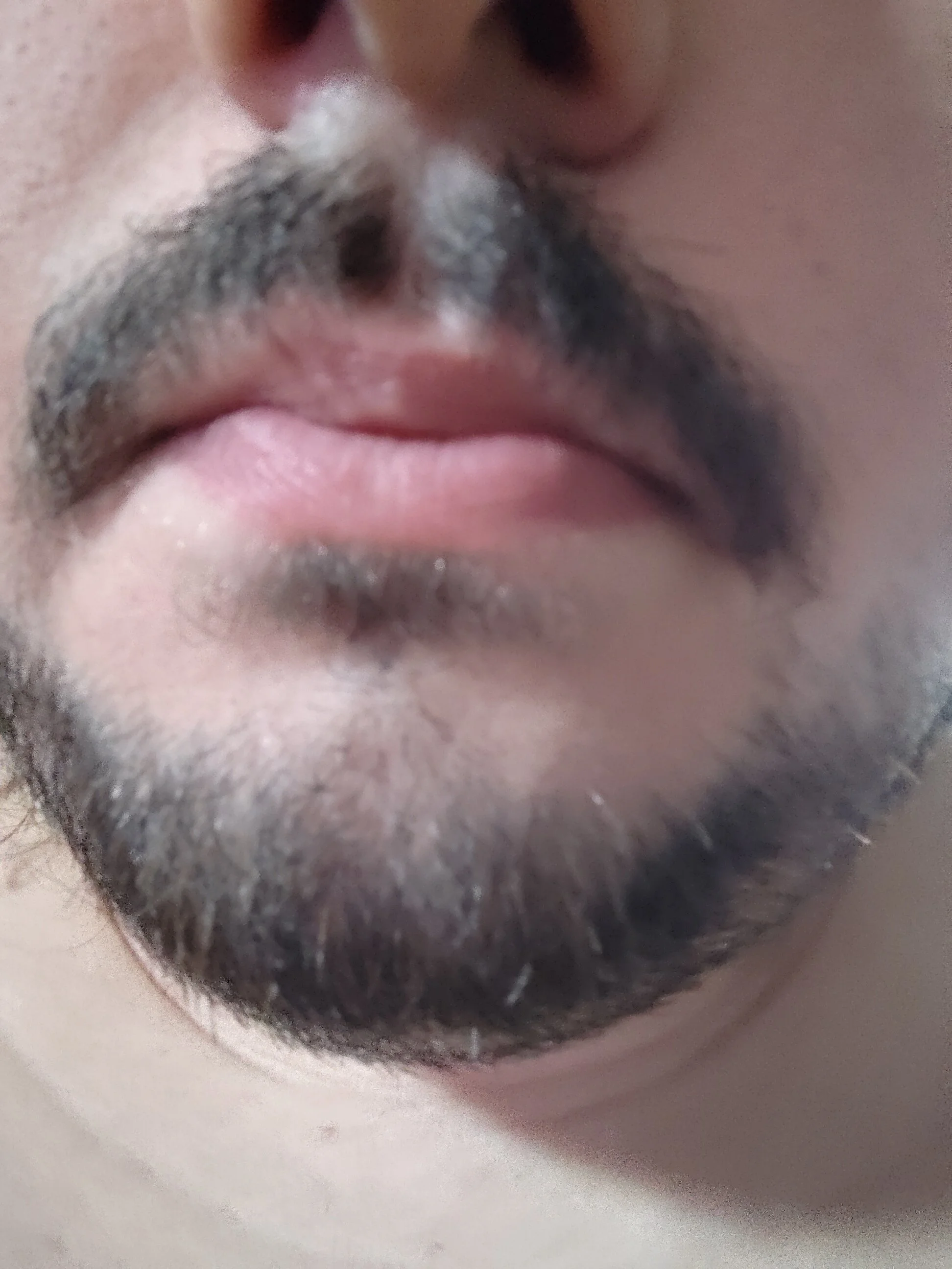 Bitevelu