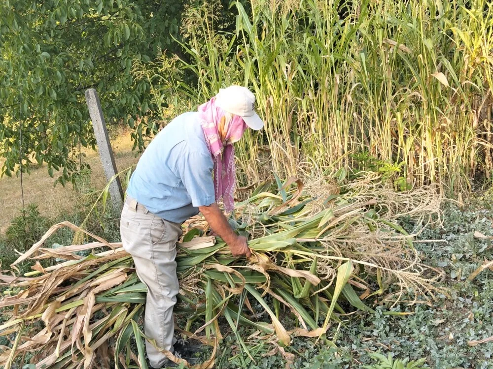 دردشة fgcgbbbvv الجنسية دون اتصال