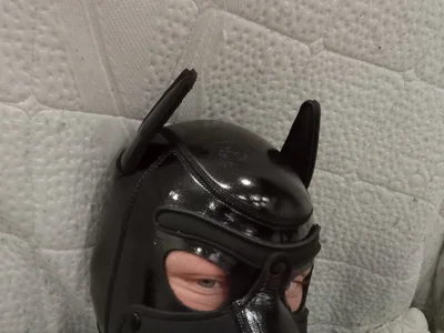 ArcticRubber1989