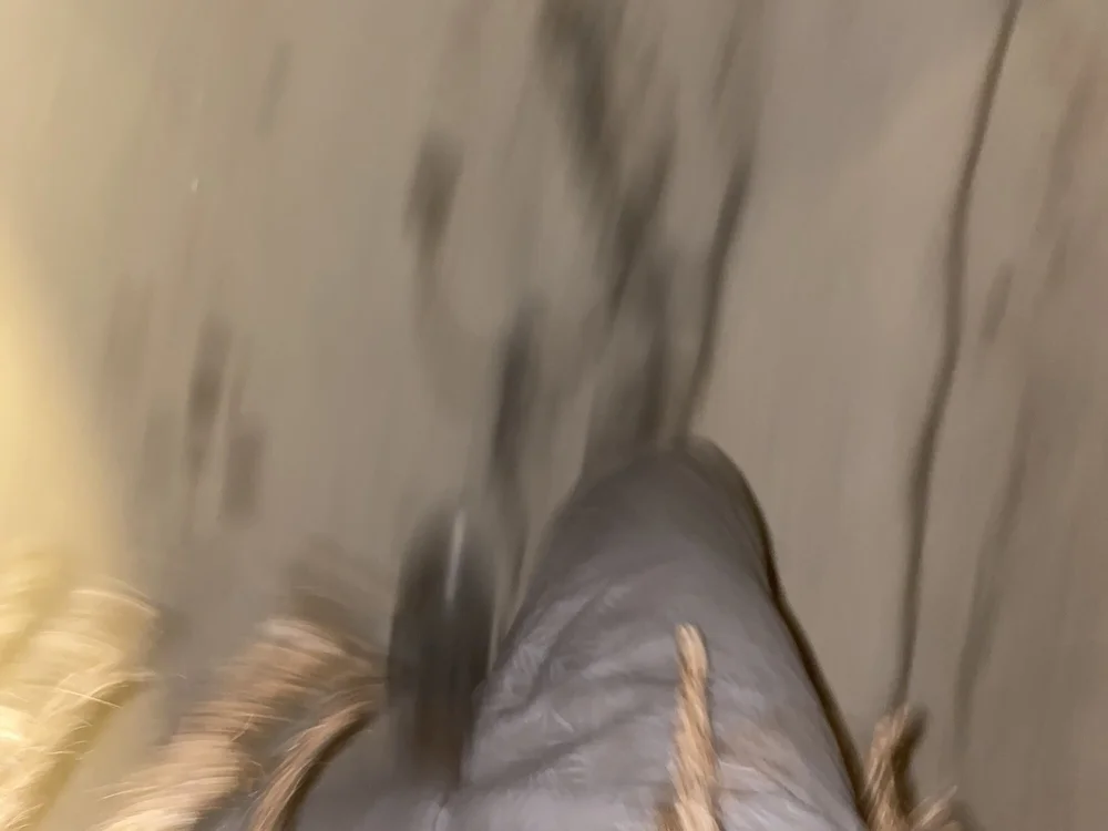 Offline chatovací místnost tattoedman