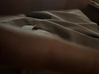 calienteD4vid2005 live cam profile - MySuperHot