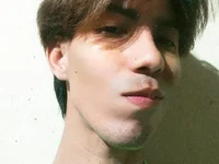 Модель Couplex_xxx