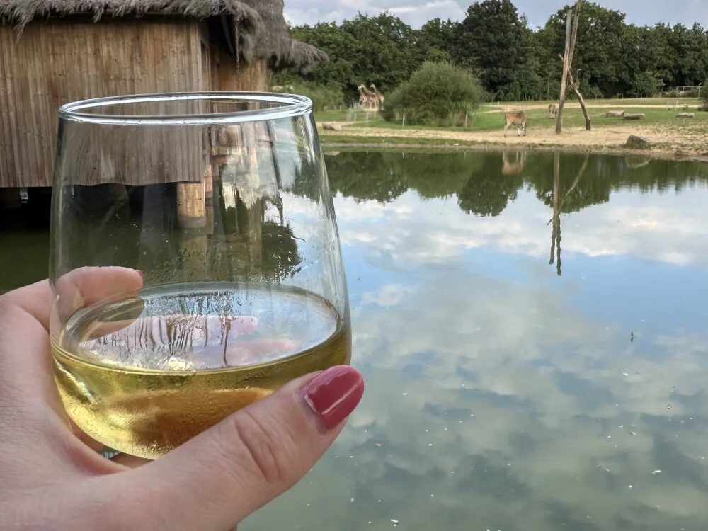 Offline XXX chat dadou85h