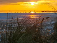 pete4445's webcam live show