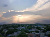 Dondeleon_ webcam