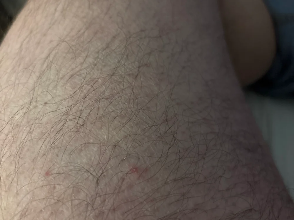 Chat +18 off-line de Cazzone3131