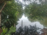 VERGARAFRANKE