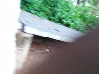tonyraj26's webcam live show