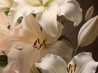 neserine_92i