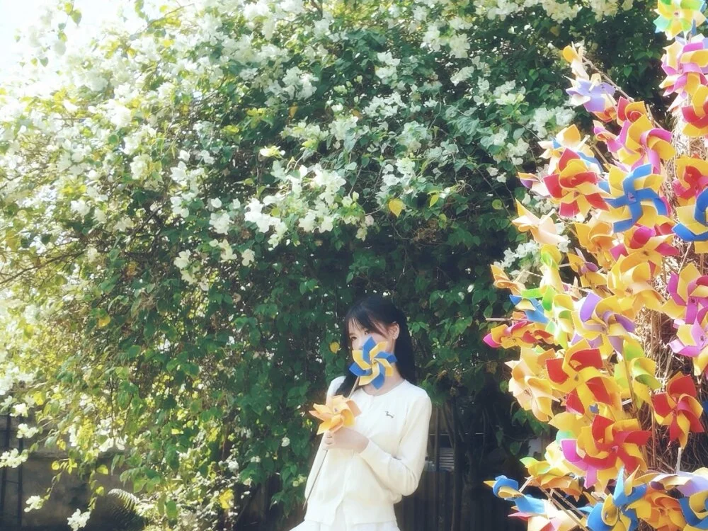 Your-Sunshine Offline XXX-Chat