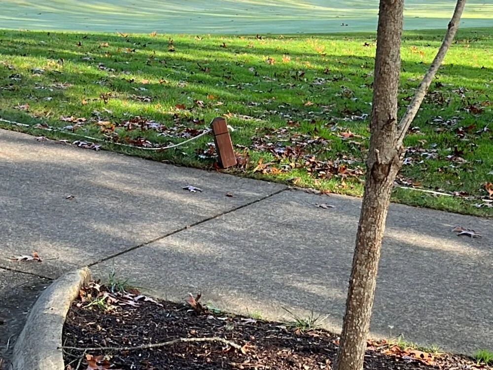 Big-dick_1 অফলাইন XXX চ্যাট