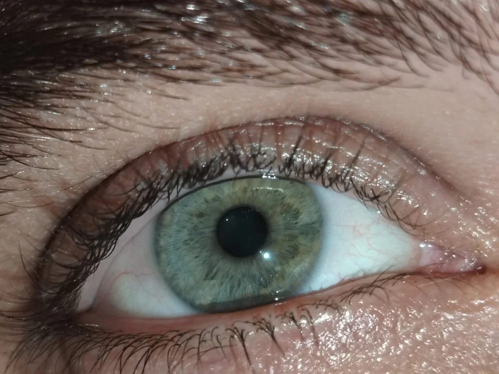 Giorgione94 오프라인 XXX 채팅