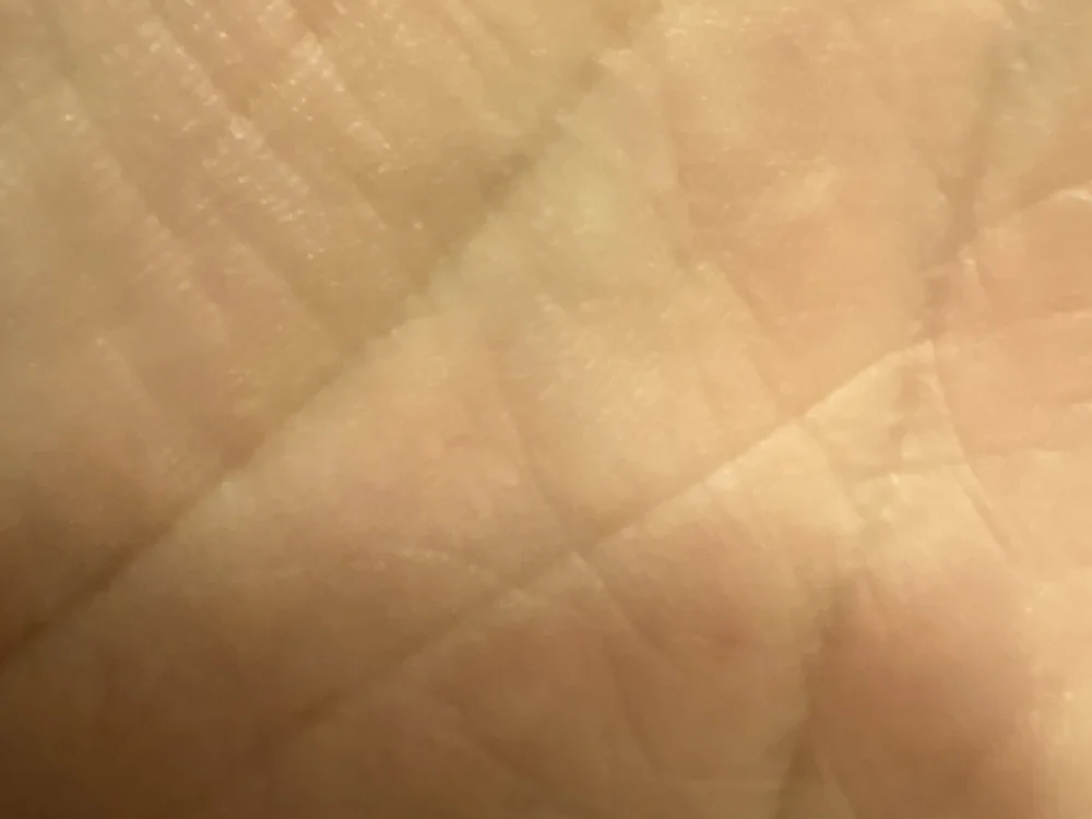 jenicekbendicek Offline XXX-chat