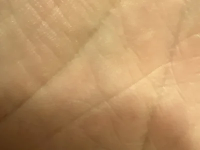 jenicekbendicek profile