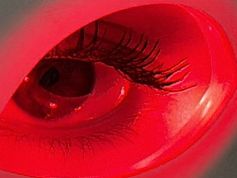 Rose_reed cover photo