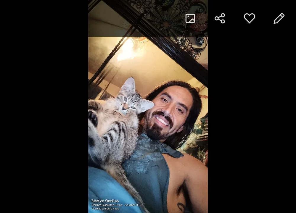 Limonite656n Offline XXX chat