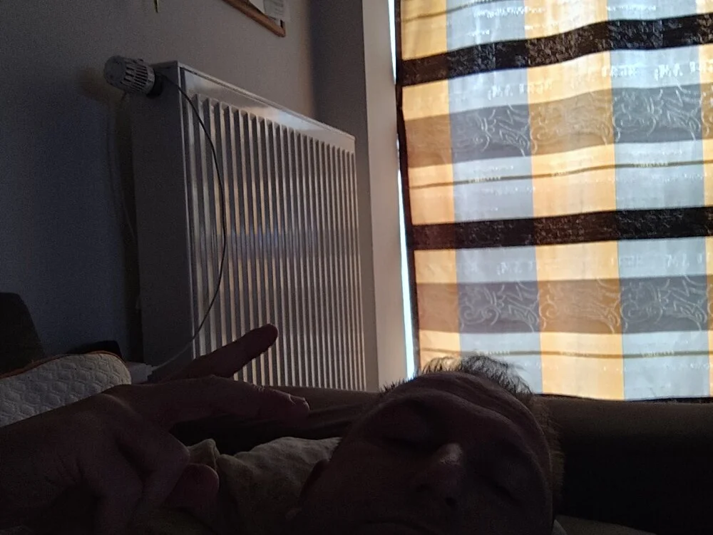 GenuineDedication42 Offline XXX-chat