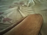 Rajieset