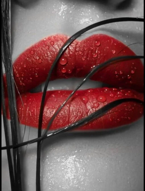 midnight_prisha 离线XXX聊天