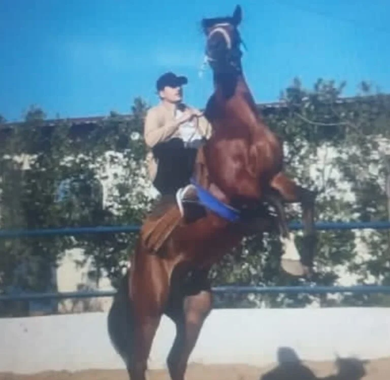 Jhvycd Adlı Modelin Çevrimdışı XXX Sohbeti