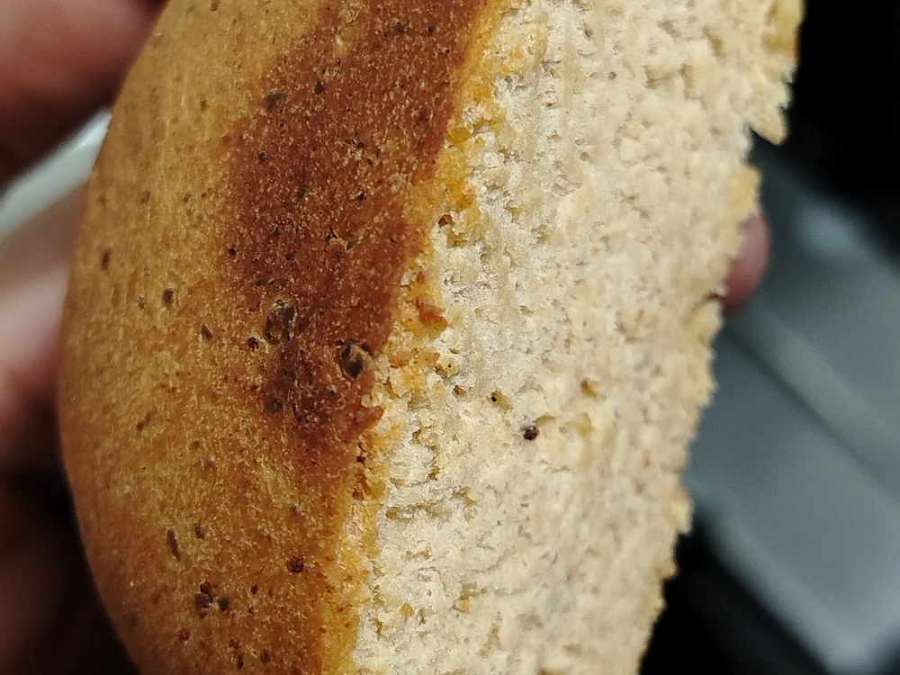 دردشة Vecinos69 الجنسية دون اتصال