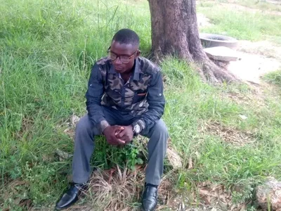 Master_stallionbbc12