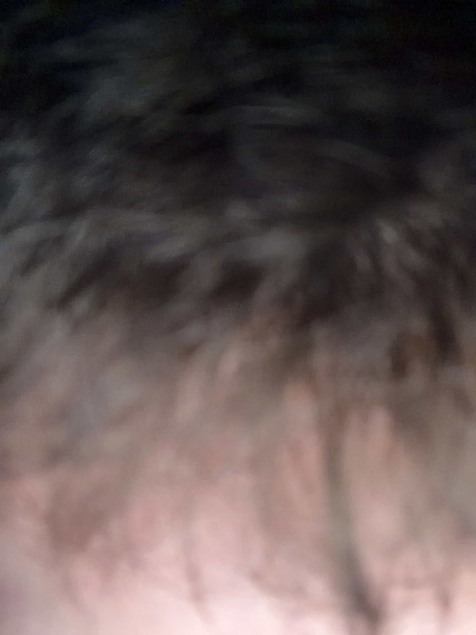 bjim03425