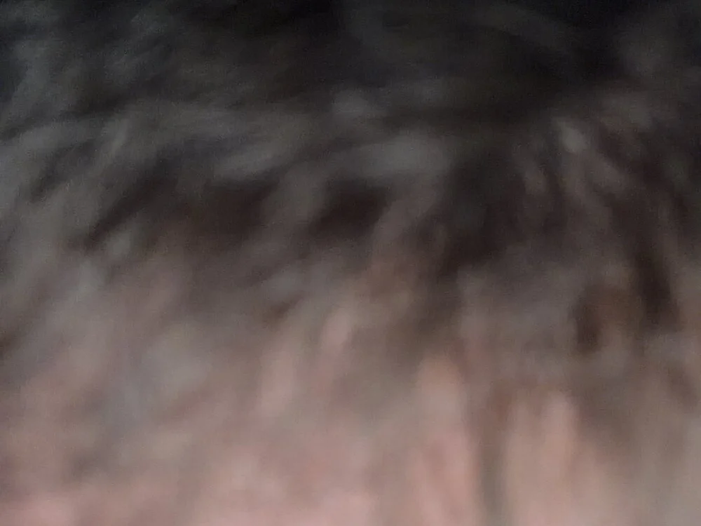 bjim03425's Offline XXX Chat