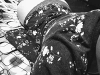 Модель Dark_fan