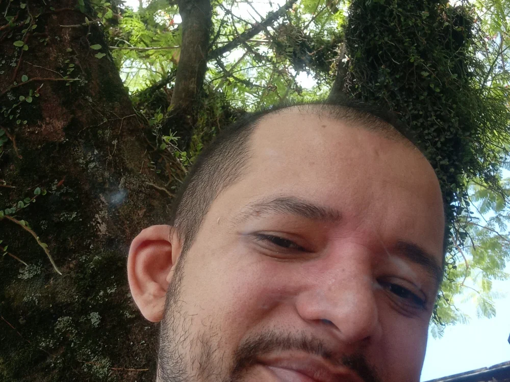 marceneiro-vip offline chatrum