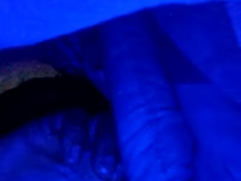 Abendo Chat XXX Ngoại tuyến