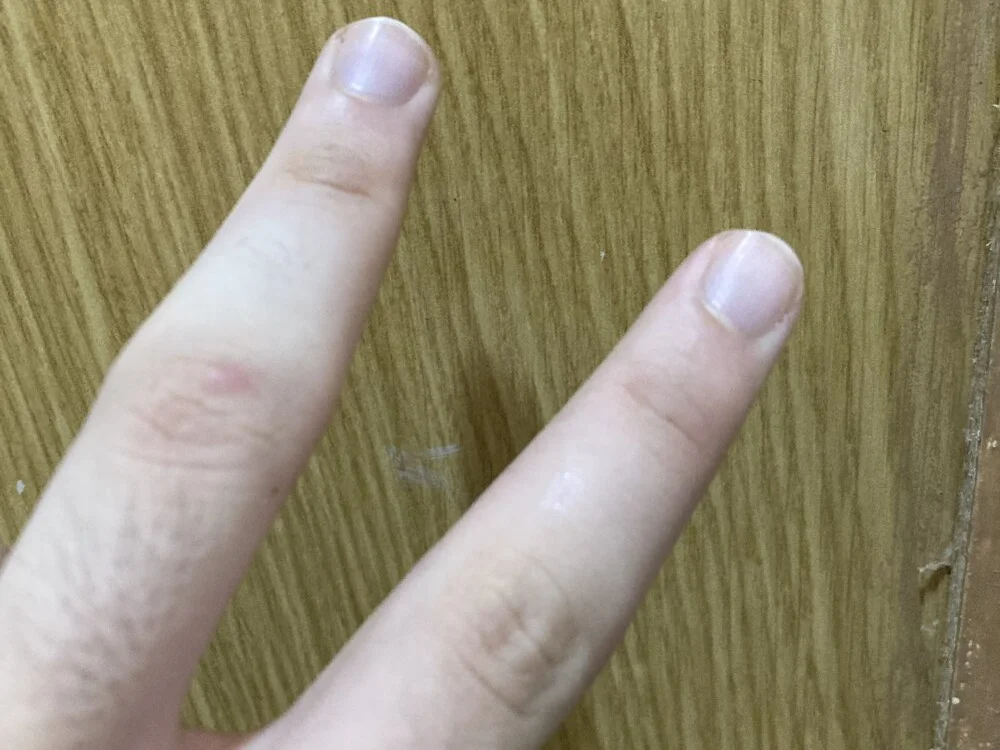 Czat XXX offline – dodo_21321