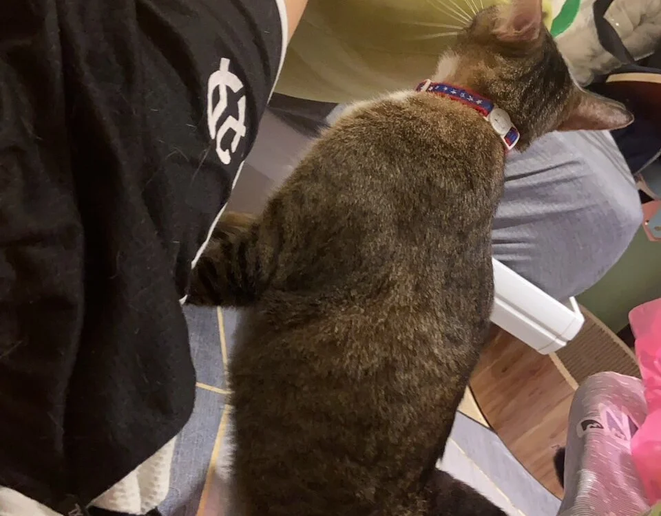 bigbb101011 offline XXX-chat