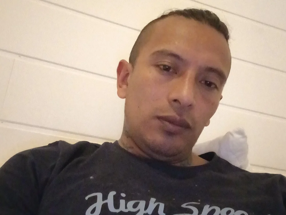 DANSUli offline chatrum